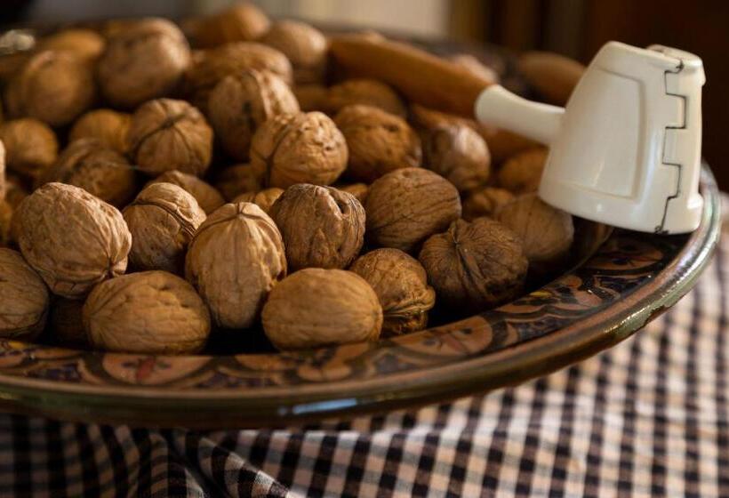 펜션 1900 B&b Terrassa