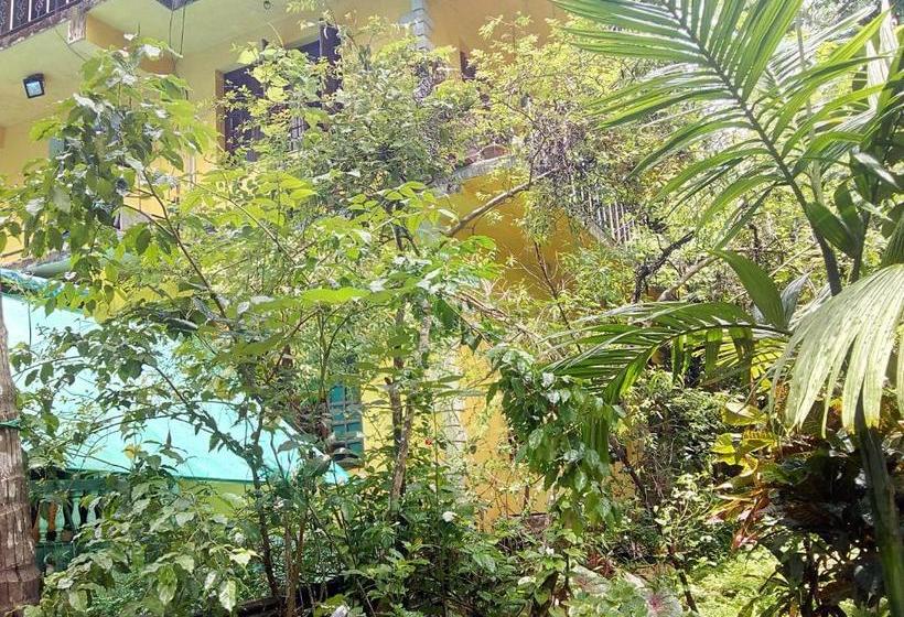 膳宿费 Aguiar Guest House