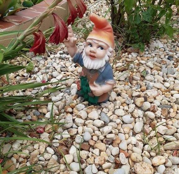 Пансион Bela Alexandra Guest House