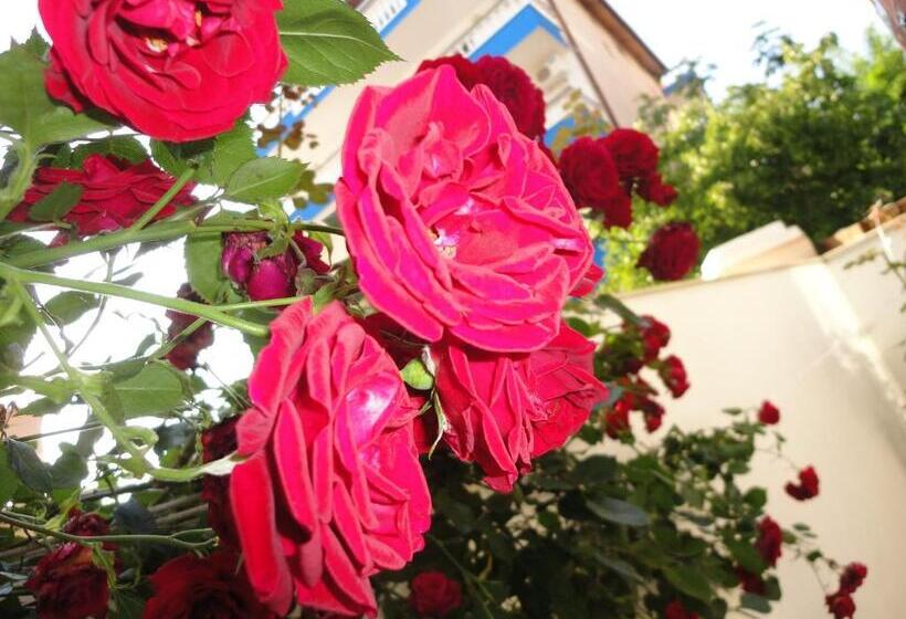 پانسیون Borko Guest House