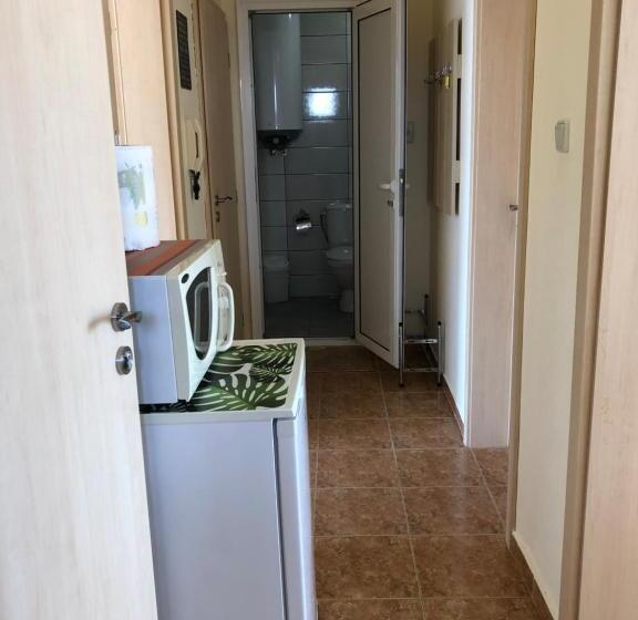 פנסיון Borko Guest House