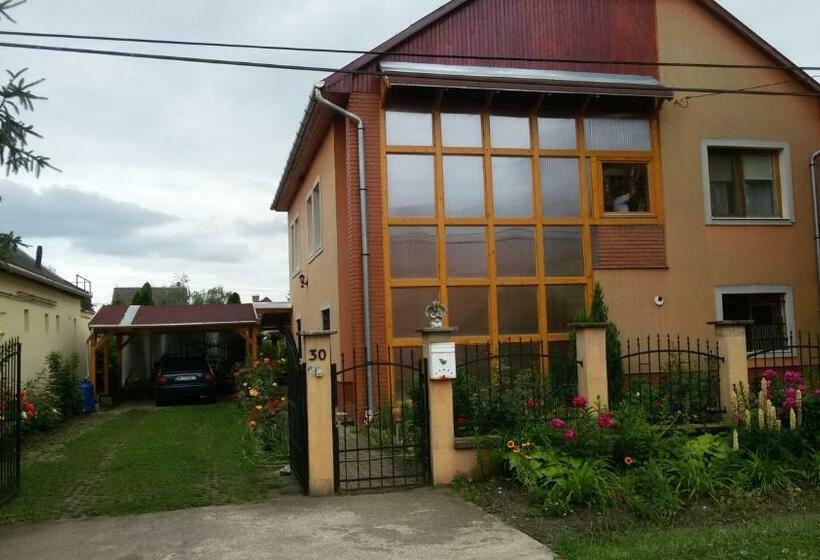 膳宿费 Brigitta Vendégház