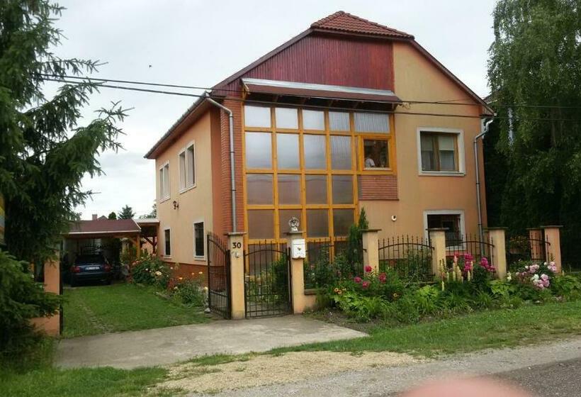 膳宿费 Brigitta Vendégház