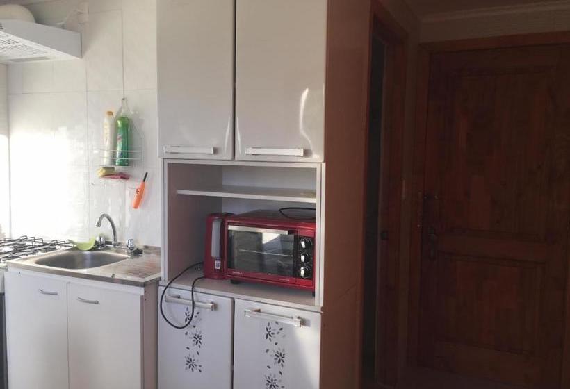 פנסיון Cabañas Patagonia Encantada