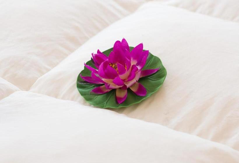 ペンション Camere Fontanavecchia