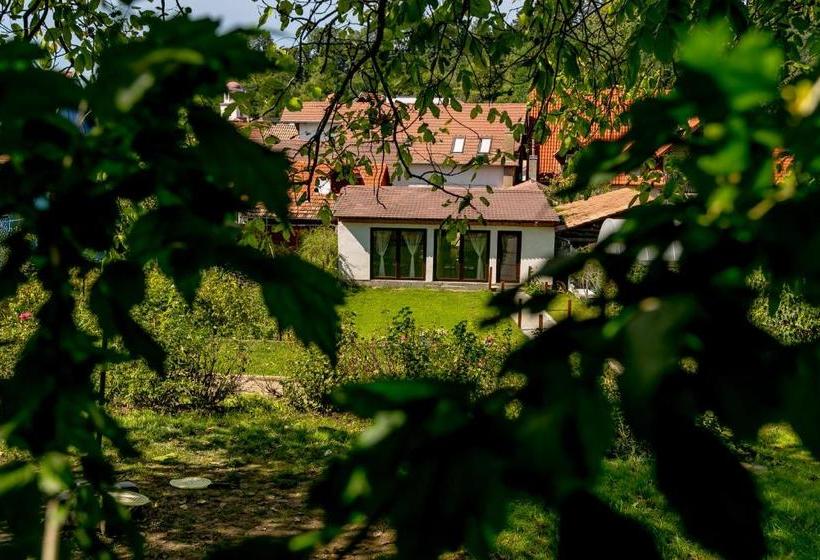 بنسيون Casa Adalmo