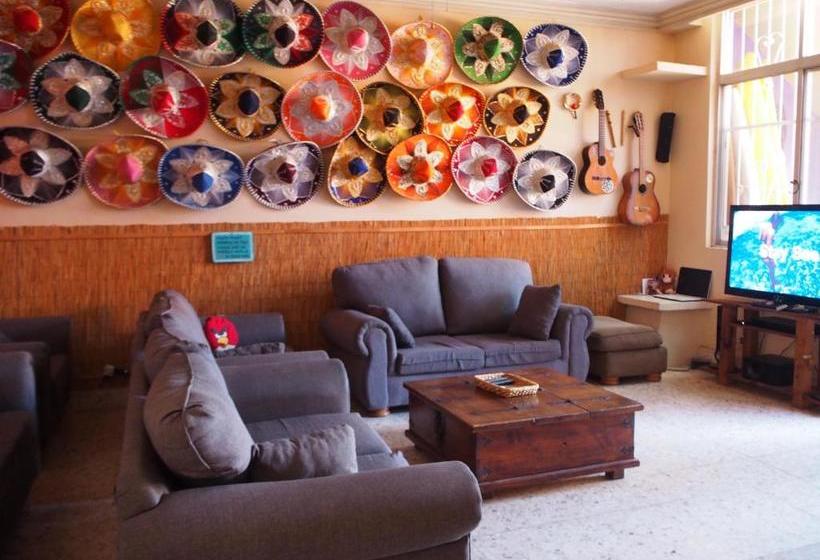 پانسیون Wandering Monkey Guesthouse