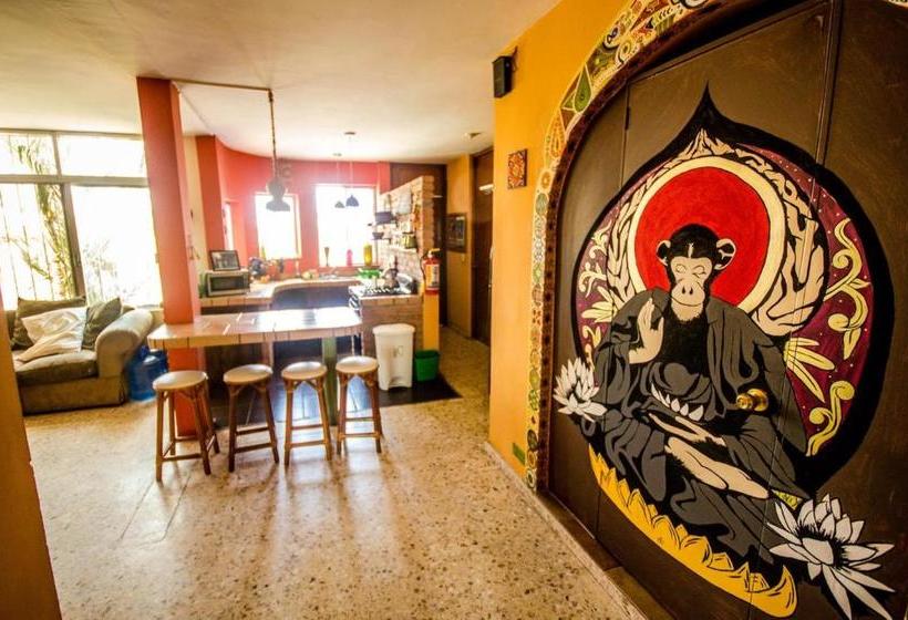 پانسیون Wandering Monkey Guesthouse