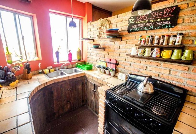 پانسیون Wandering Monkey Guesthouse