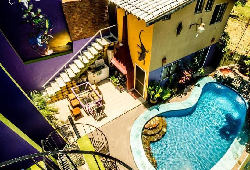 پانسیون Wandering Monkey Guesthouse