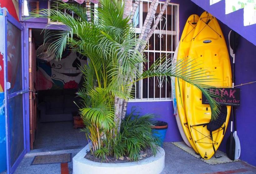 پانسیون Wandering Monkey Guesthouse