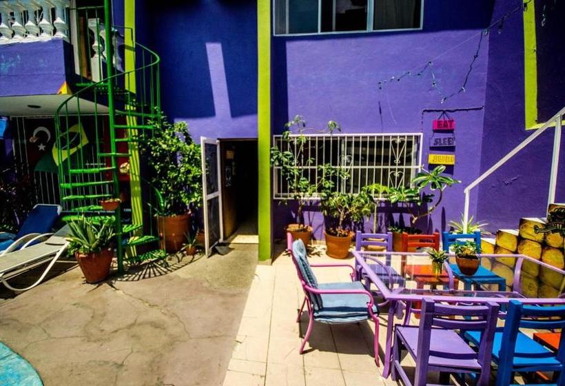 پانسیون Wandering Monkey Guesthouse