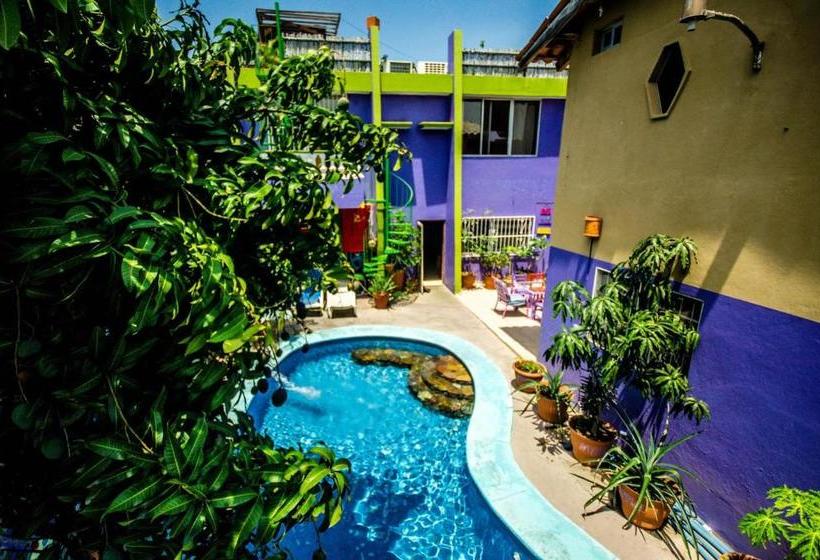 پانسیون Wandering Monkey Guesthouse