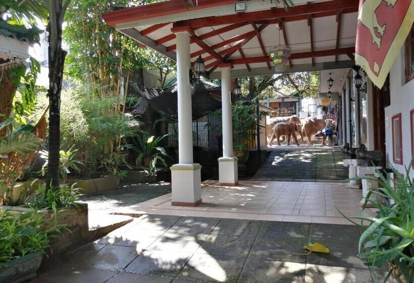 ペンション Green Land Guest House