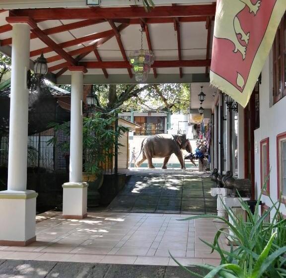 ペンション Green Land Guest House