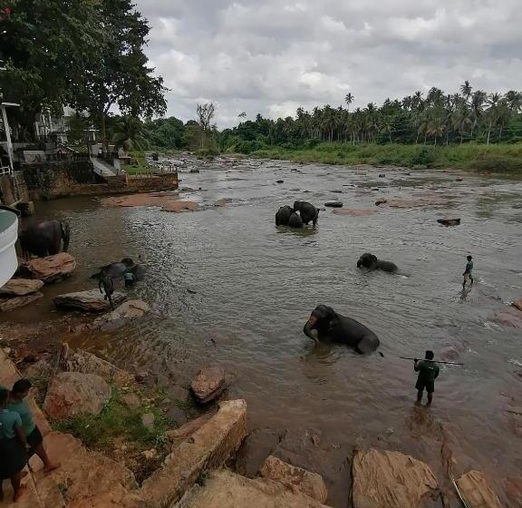ペンション Green Land Guest House
