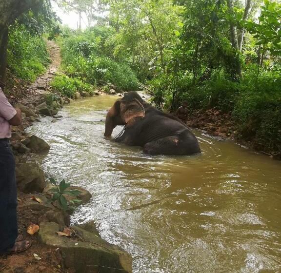 ペンション Green Land Guest House