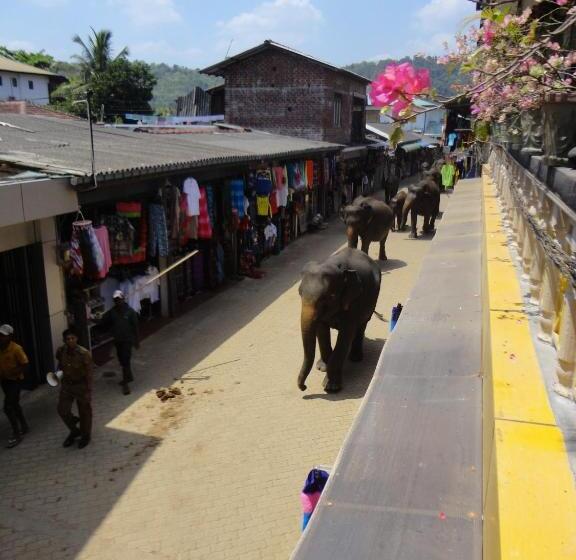 ペンション Green Land Guest House