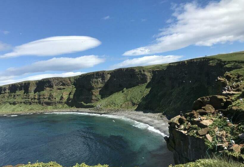 پانسیون Guesthouse Basar