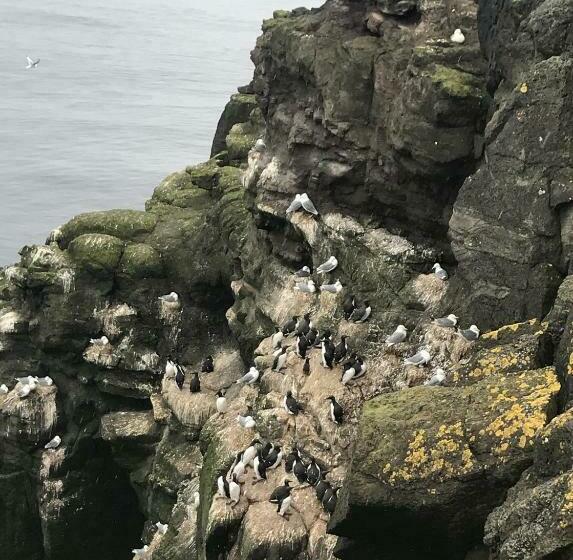 پانسیون Guesthouse Basar