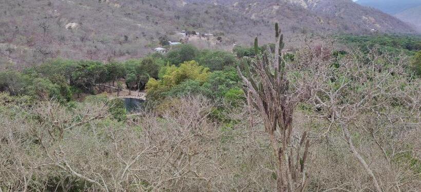 بنسيون Hostal Alcazaba