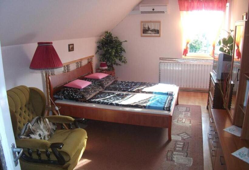 פנסיון Katalin Vendégház