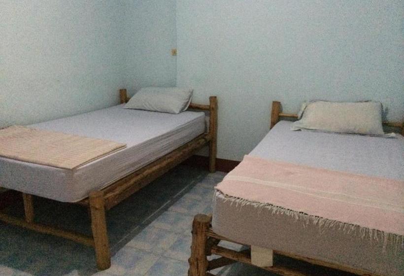 بنسيون Kiwi Orchid & Pl Guesthouse