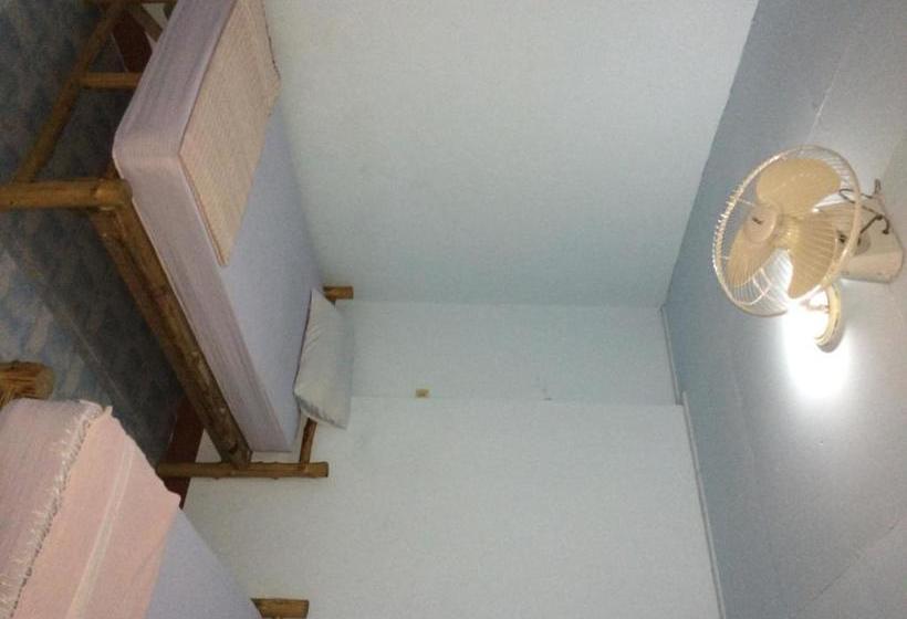 膳宿费 Kiwi Orchid & Pl Guesthouse