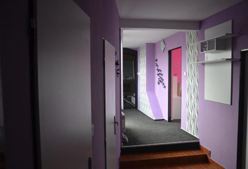 بنسيون Penzion U Kohoutka