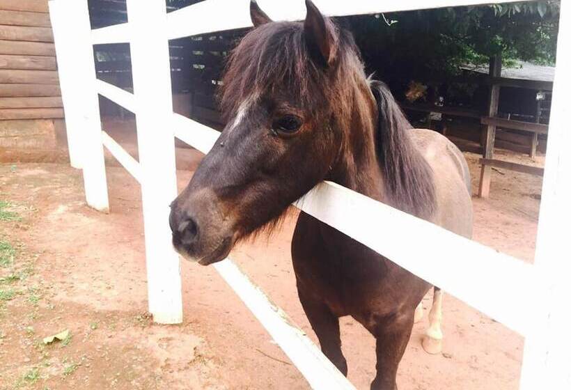 Pension Pousada Luz Da Lua
