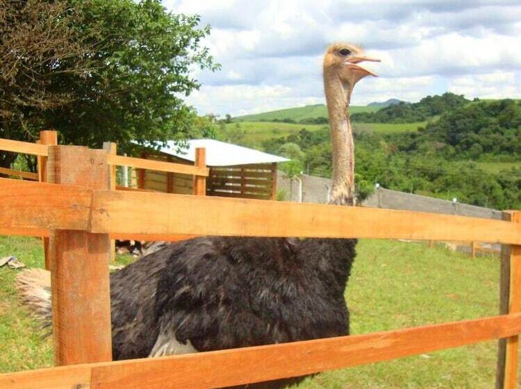 Pension Pousada Luz Da Lua