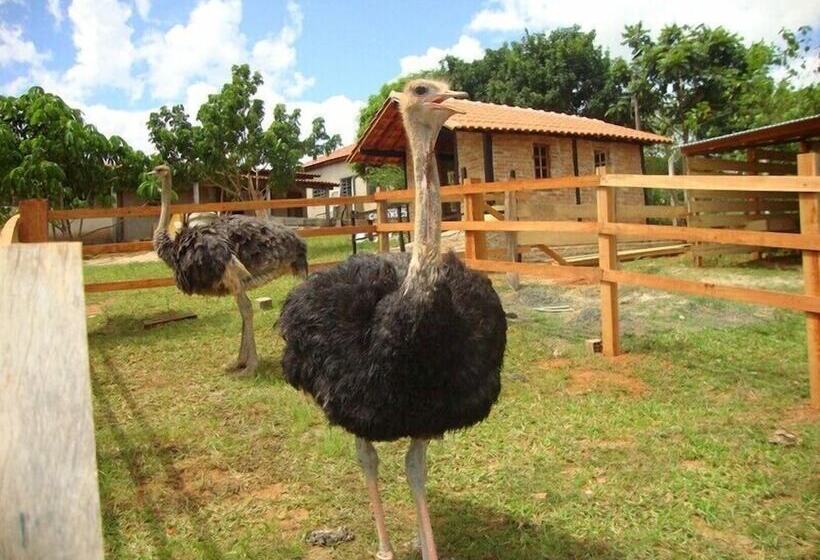 Pension Pousada Luz Da Lua