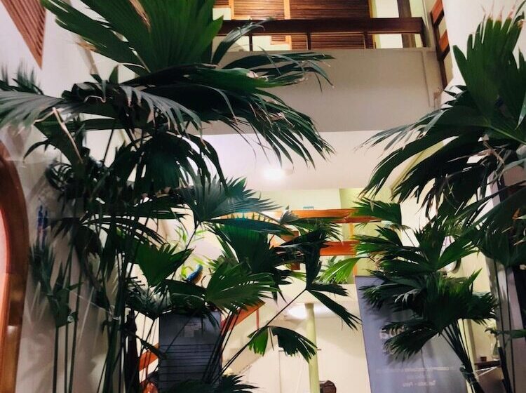 膳宿费 Sol De Selva Hostal