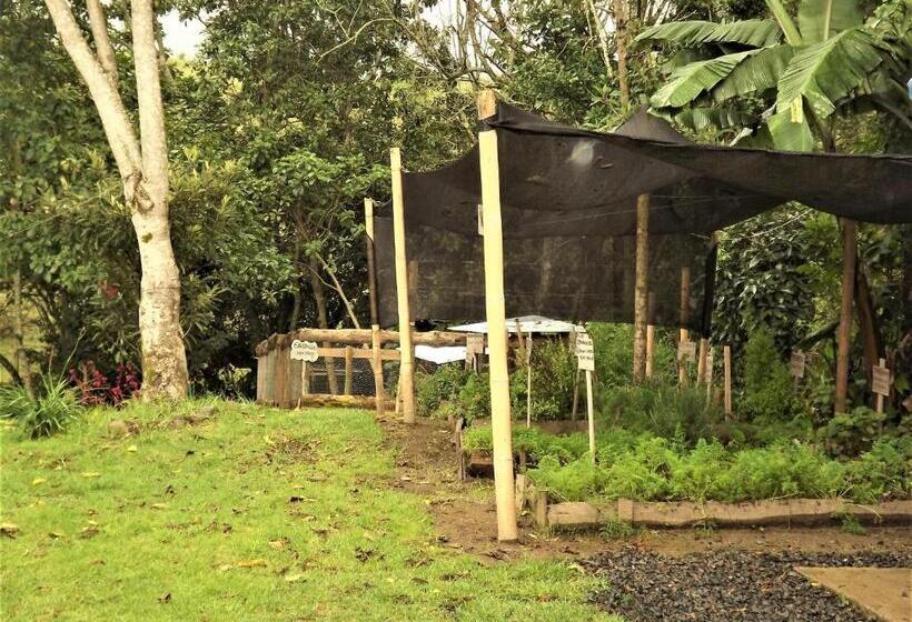 ユースホステル El Zorzal