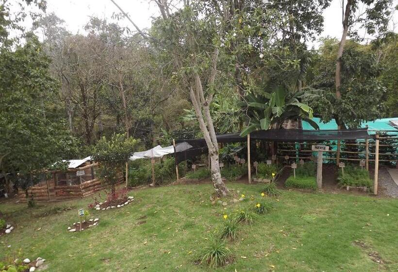 Общежитие El Zorzal