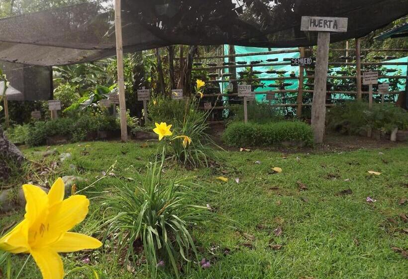 Общежитие El Zorzal