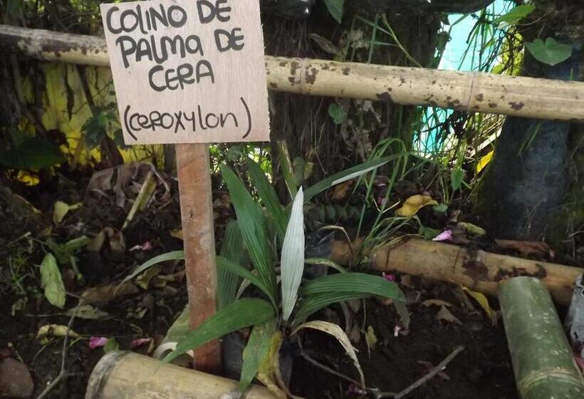 Общежитие El Zorzal