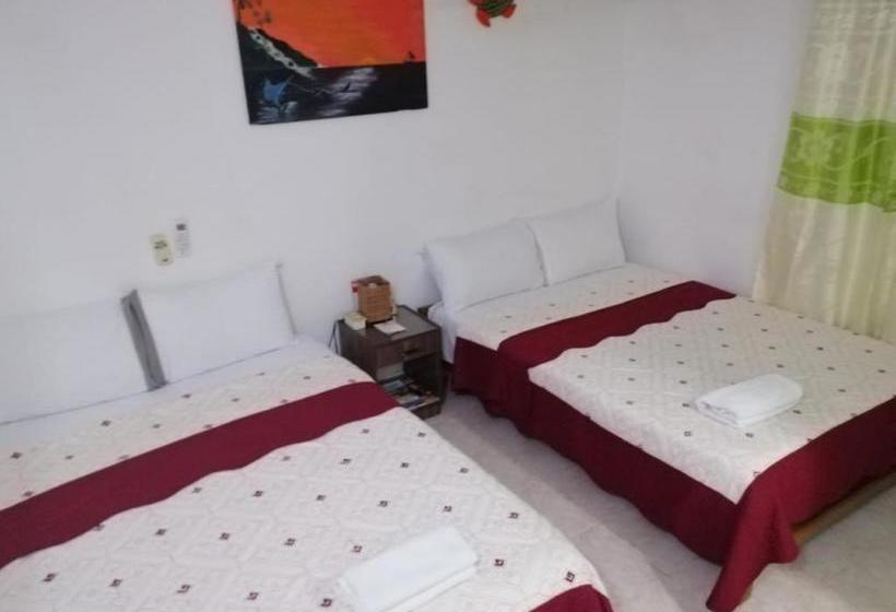 فندق صغير Posada Martha´s Place