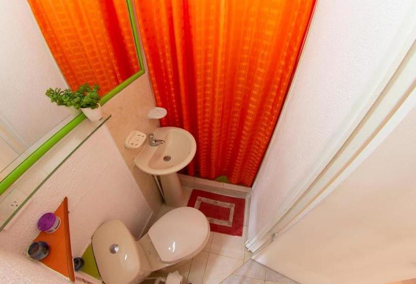 هاستل Posada Martha´s Place