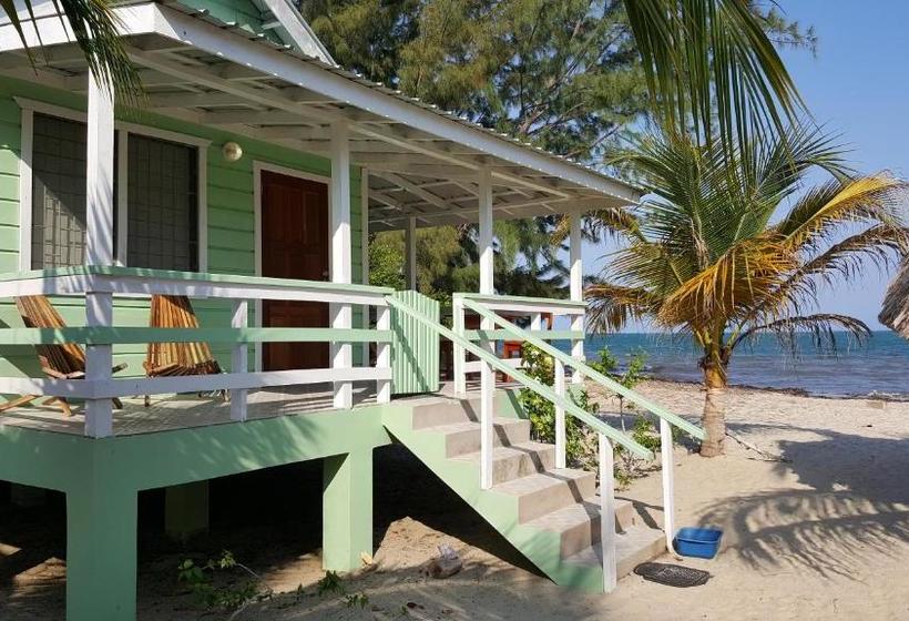 הוסטל Village Inn