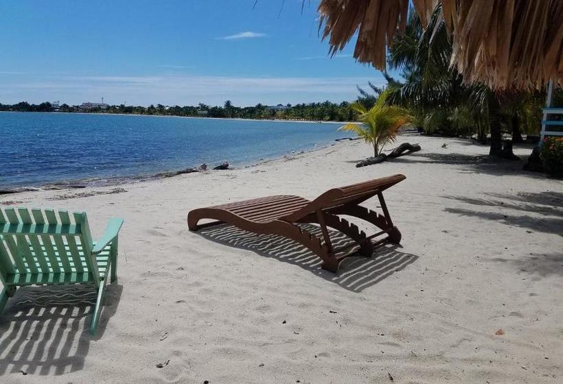 הוסטל Village Inn