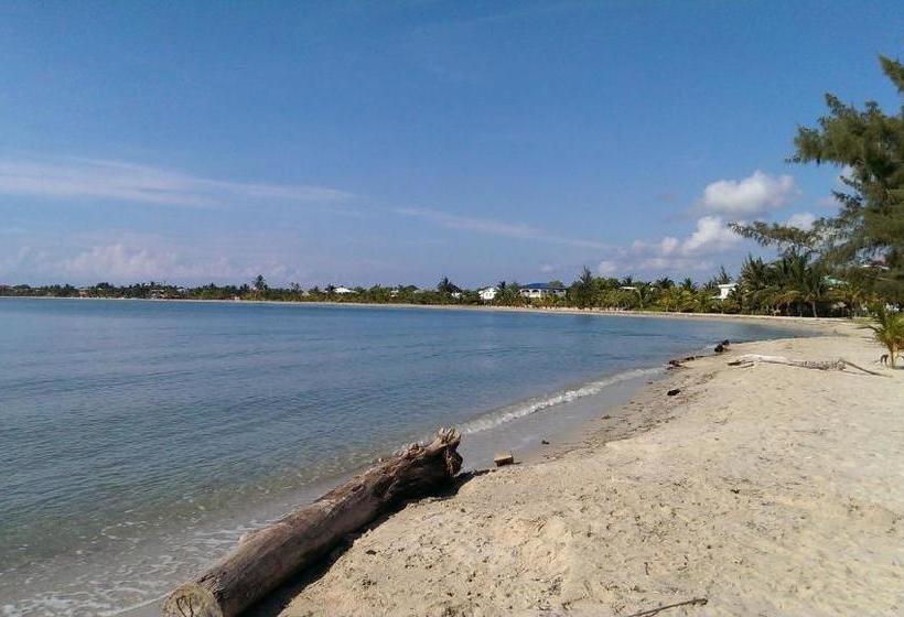 הוסטל Village Inn