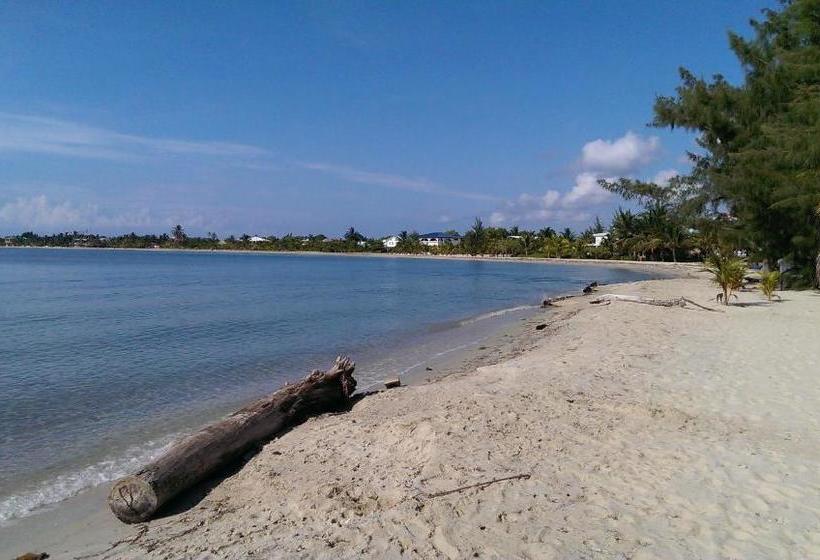 فندق صغير Village Inn