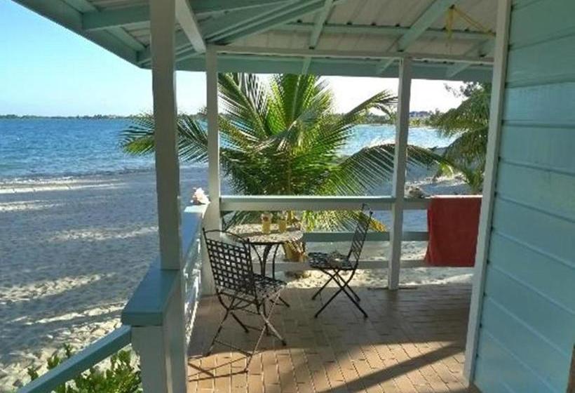 הוסטל Village Inn