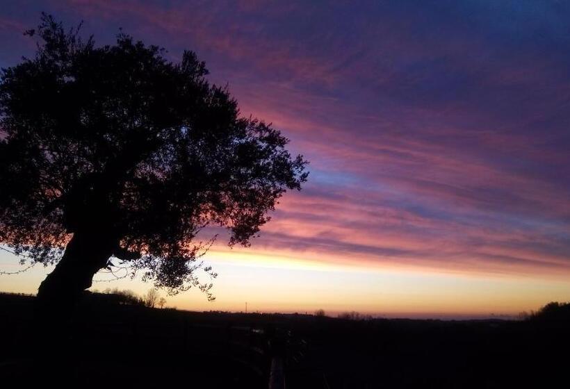 בית מלון כפרי Agriturismo Althea