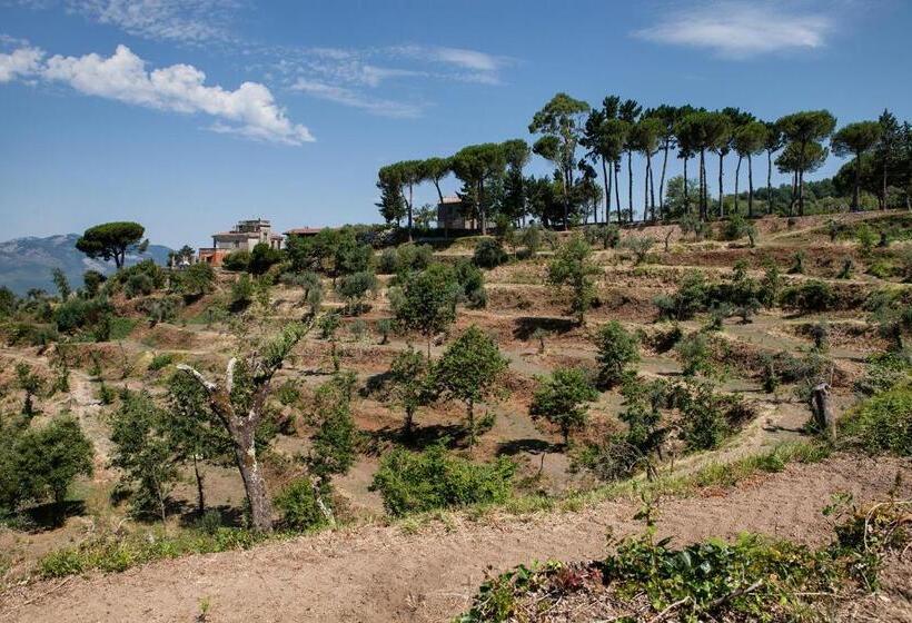 호텔 Agriturismo La Molara