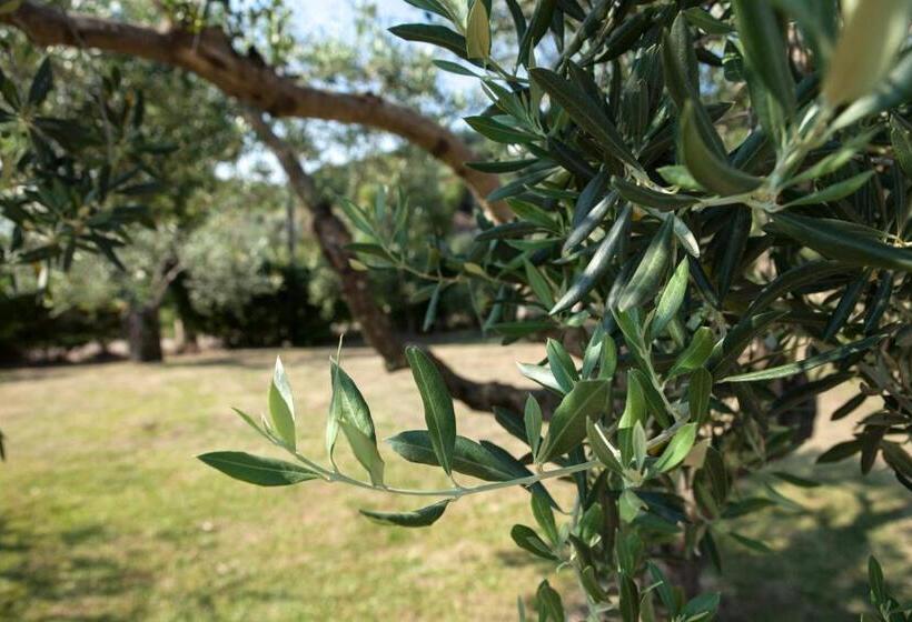 호텔 Agriturismo La Molara