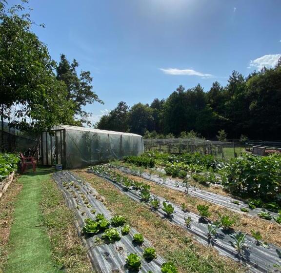 酒店 Agriturismo Vezzano