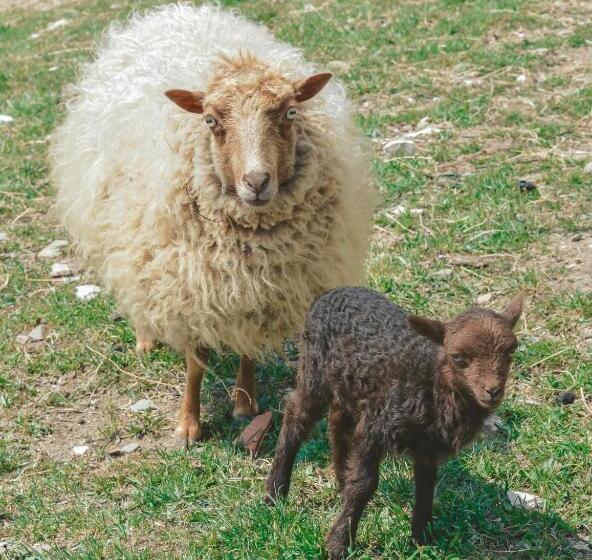 酒店 Agriturismo Vezzano