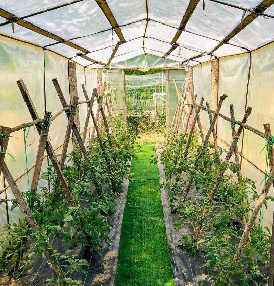 酒店 Agriturismo Vezzano